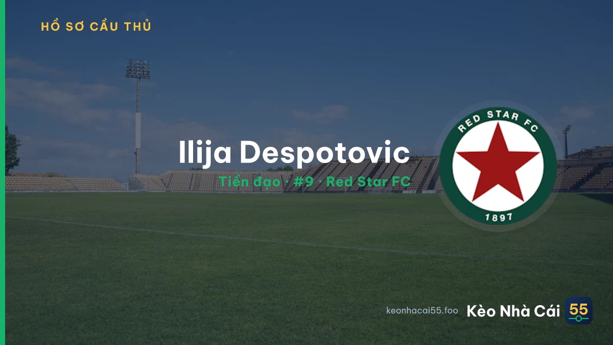 Ilija Despotovic — Red Star FC