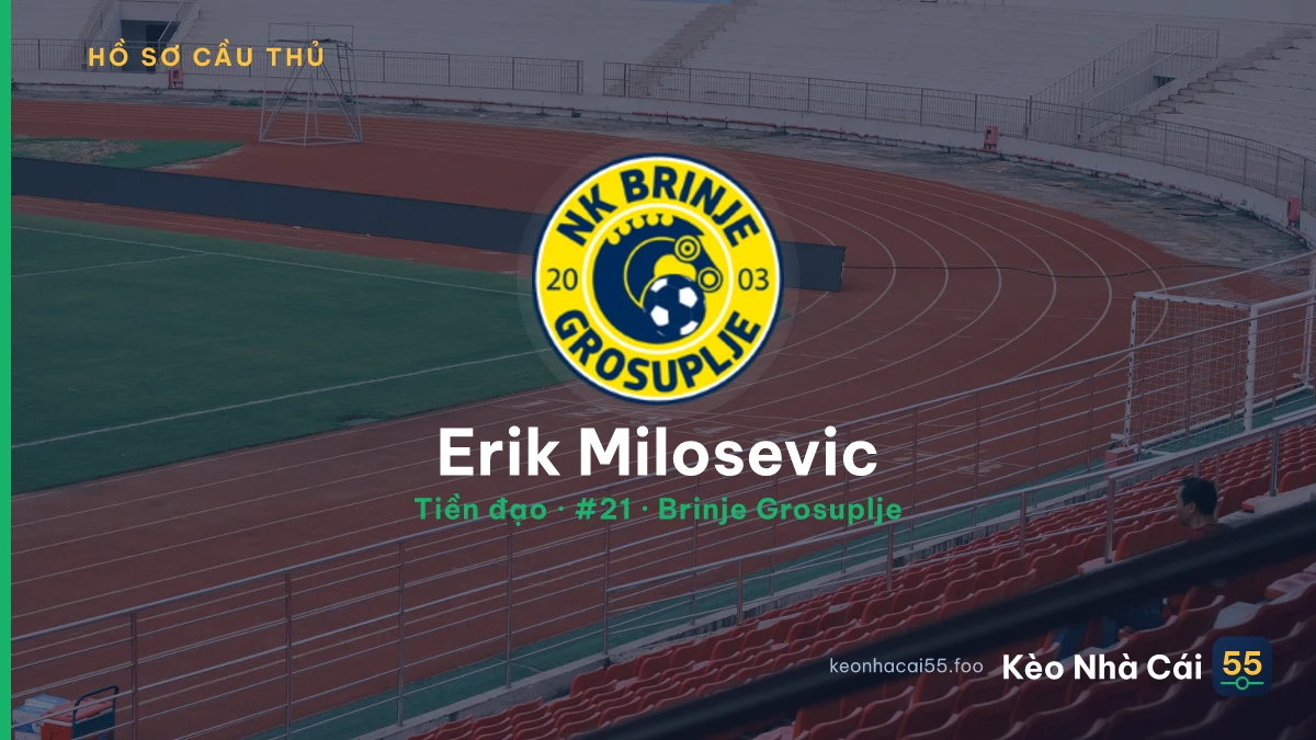 Erik Milosevic — Brinje Grosuplje