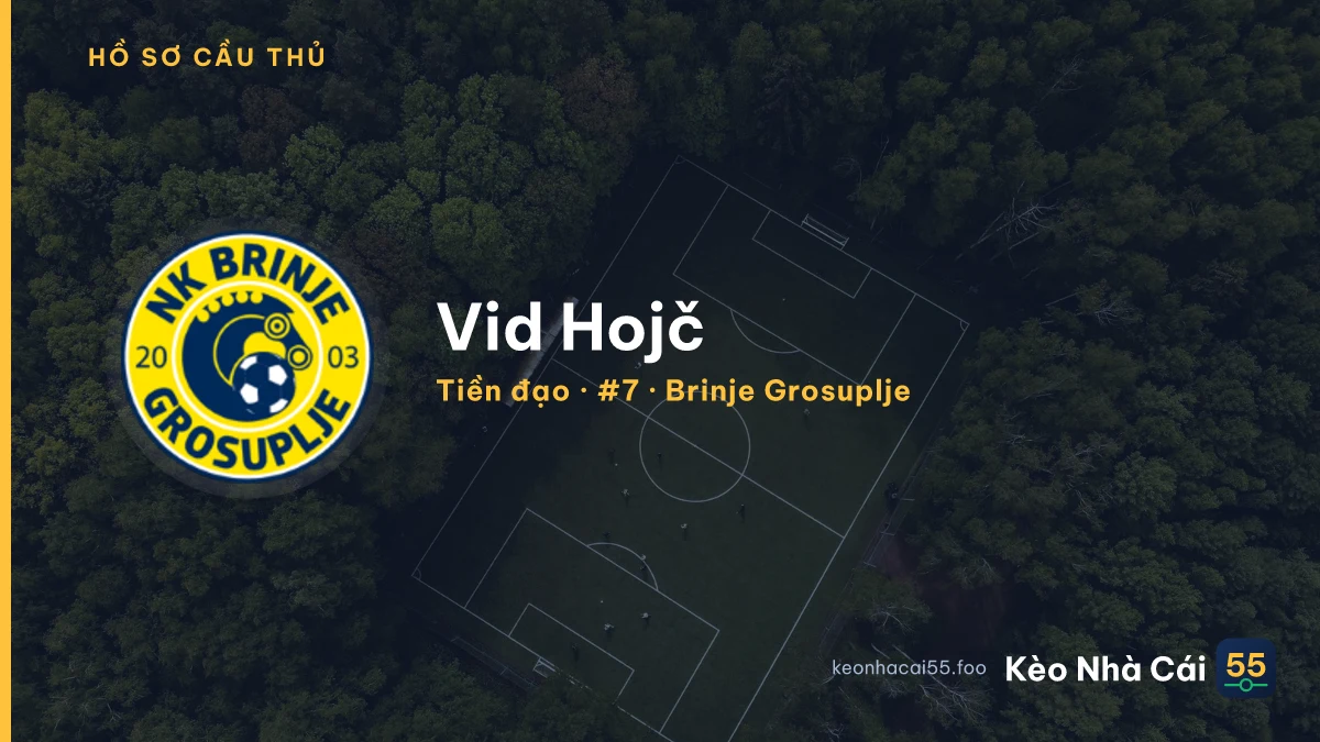Vid Hojč — Brinje Grosuplje