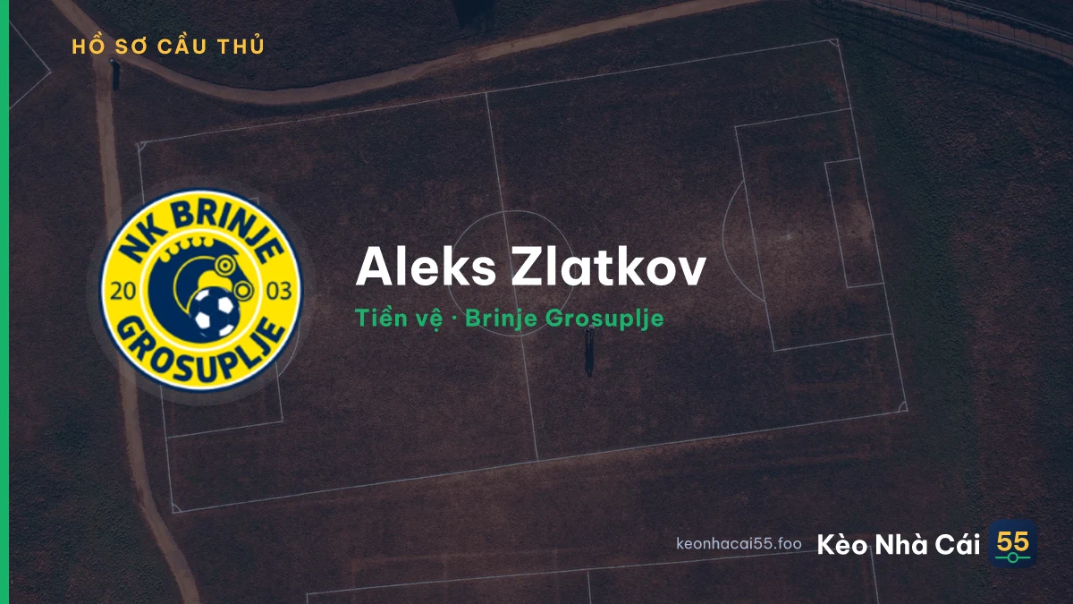 Aleks Zlatkov — Brinje Grosuplje