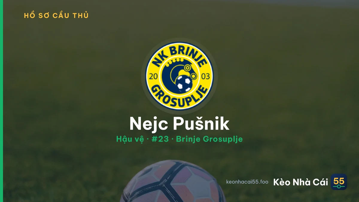 Nejc Pušnik — Brinje Grosuplje