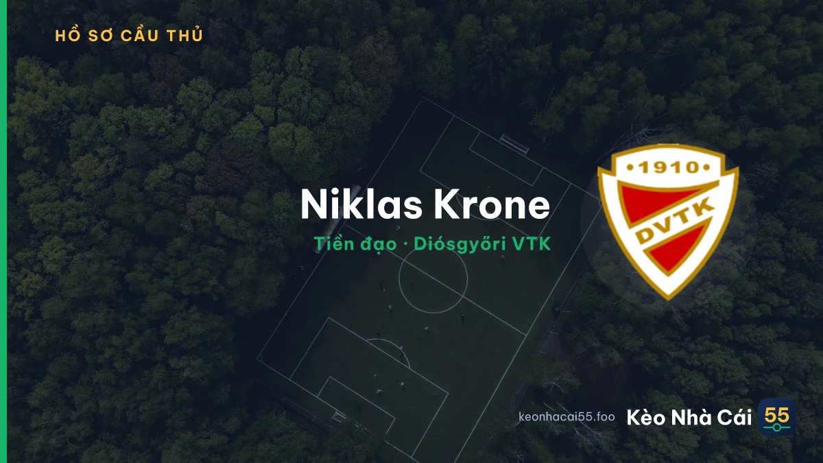 Niklas Krone — Diósgyőri VTK
