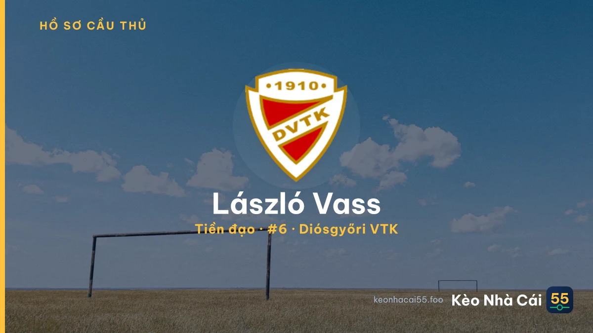László Vass — Diósgyőri VTK