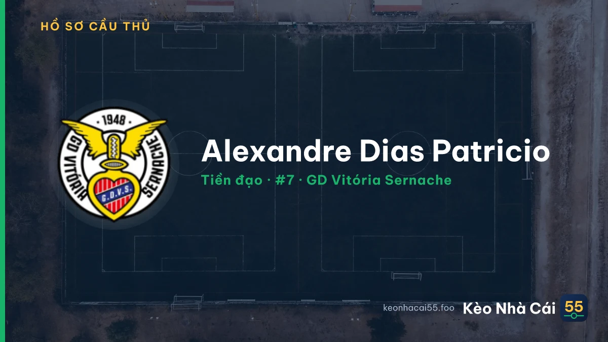 Alexandre Dias Patricio — GD Vitória Sernache