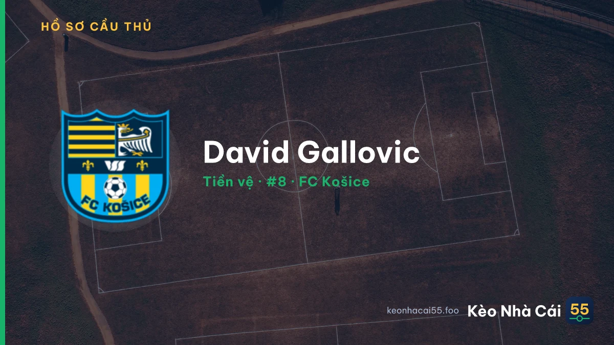 David Gallovic — FC Košice