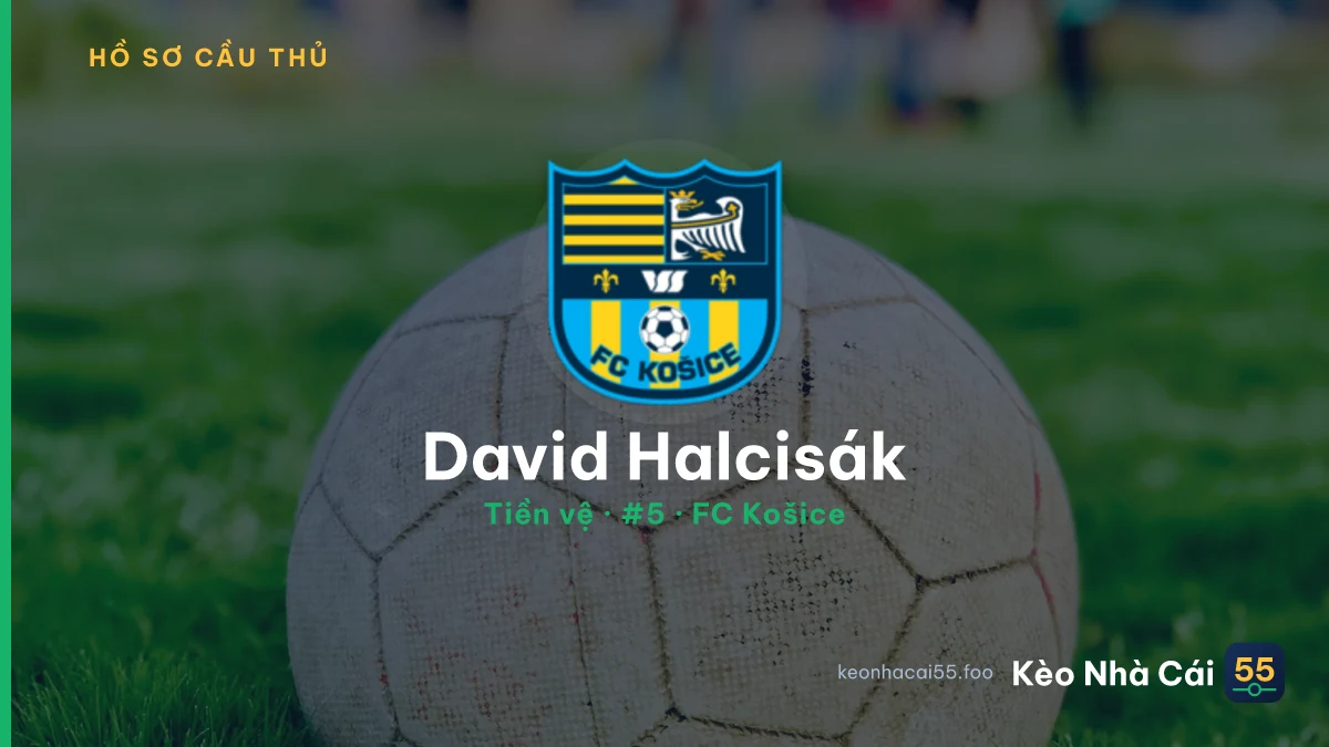 David Halcisák — FC Košice