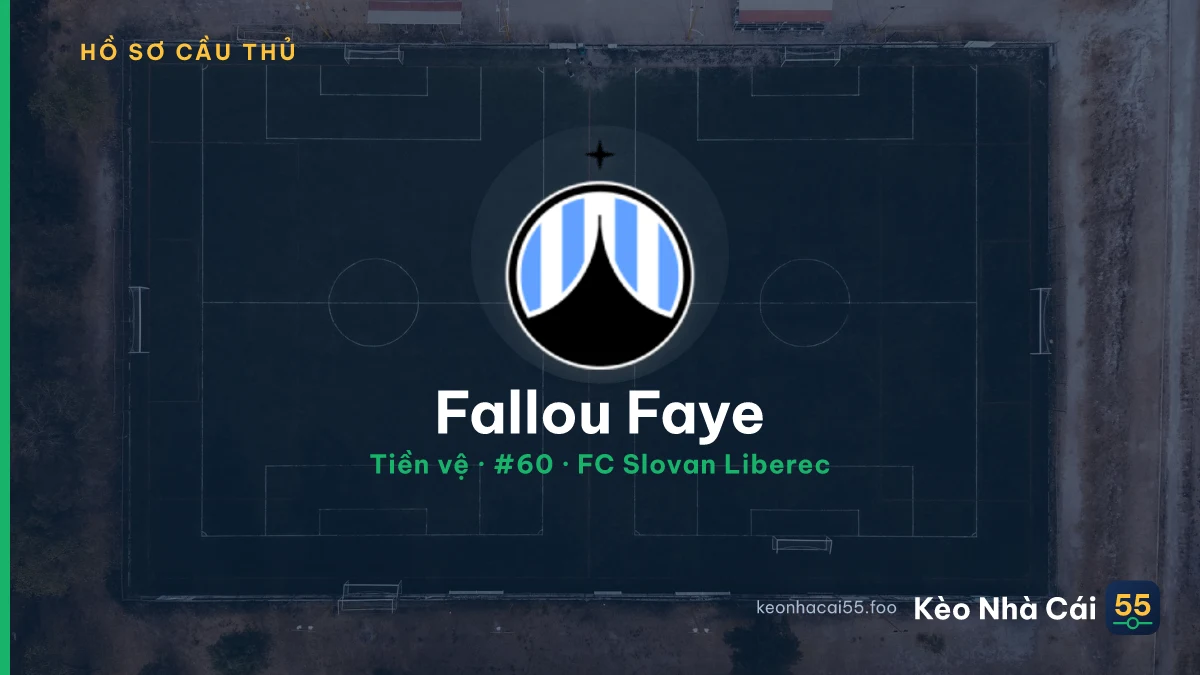 Fallou Faye — FC Slovan Liberec