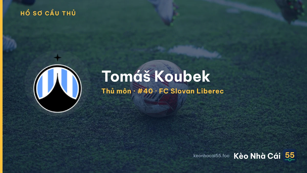 Tomáš Koubek — FC Slovan Liberec