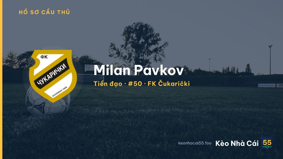 Milan Pavkov — FK Čukarički