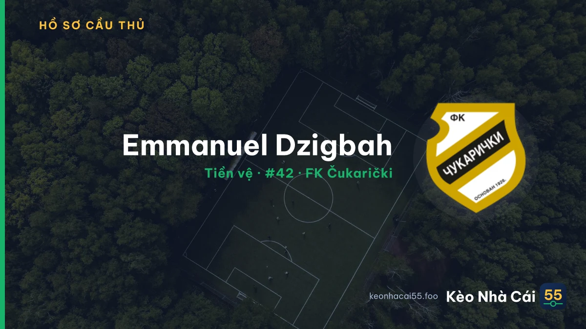 Emmanuel Dzigbah — FK Čukarički