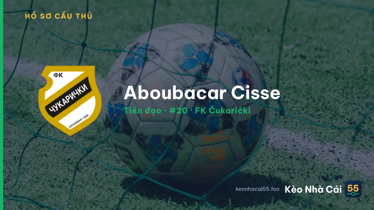 Aboubacar Cisse — FK Čukarički