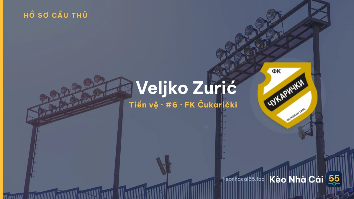 Veljko Zurić — FK Čukarički
