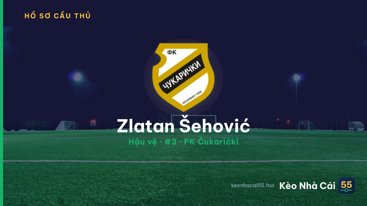 Zlatan Šehović — FK Čukarički