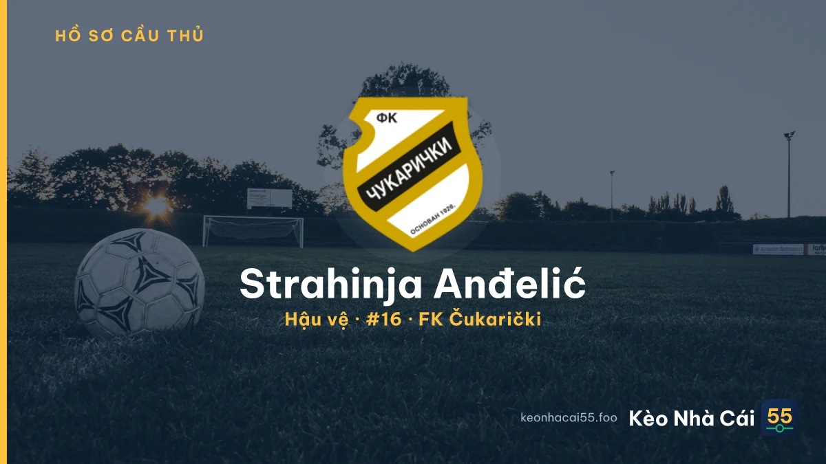 Strahinja Anđelić — FK Čukarički