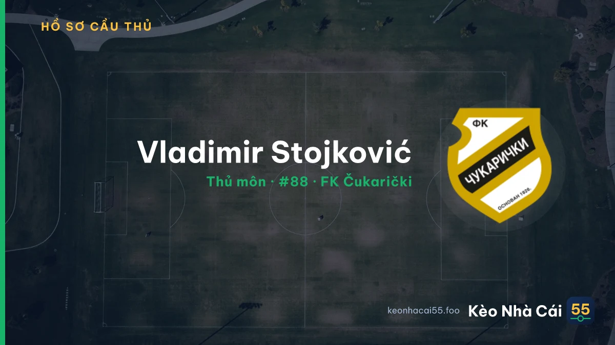 Vladimir Stojković — FK Čukarički