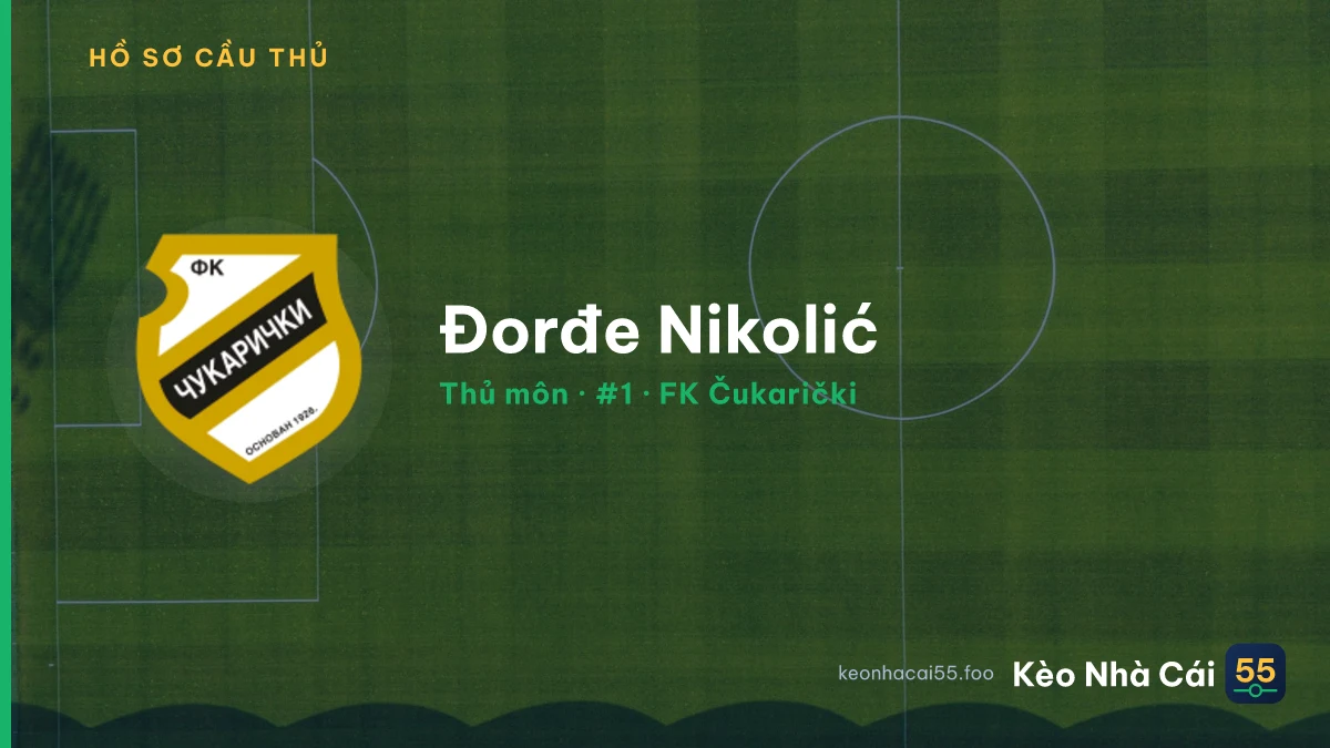 Đorđe Nikolić — FK Čukarički