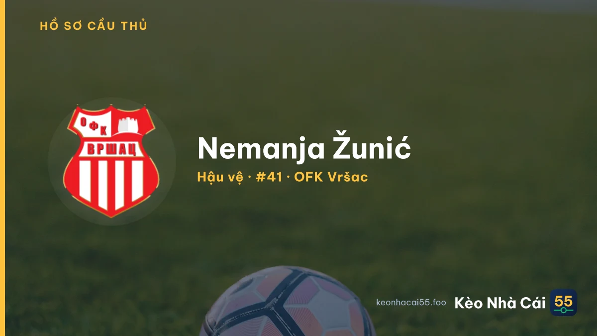 Nemanja Žunić — OFK Vršac