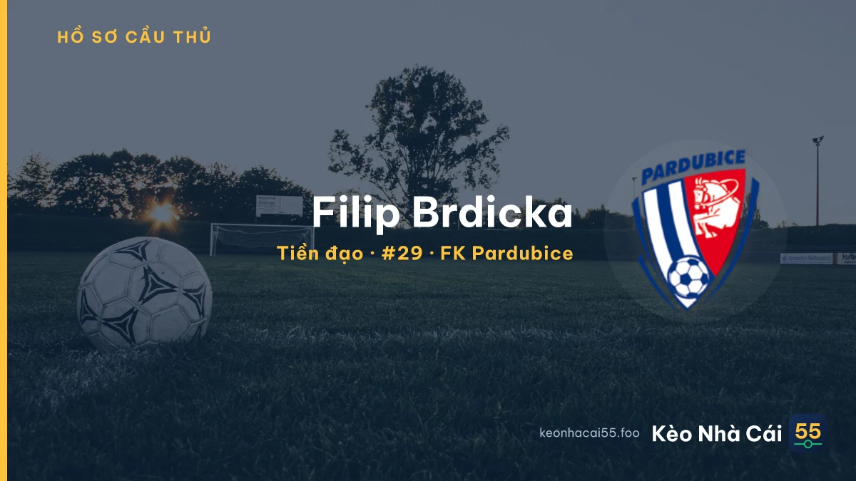 Filip Brdicka — FK Pardubice