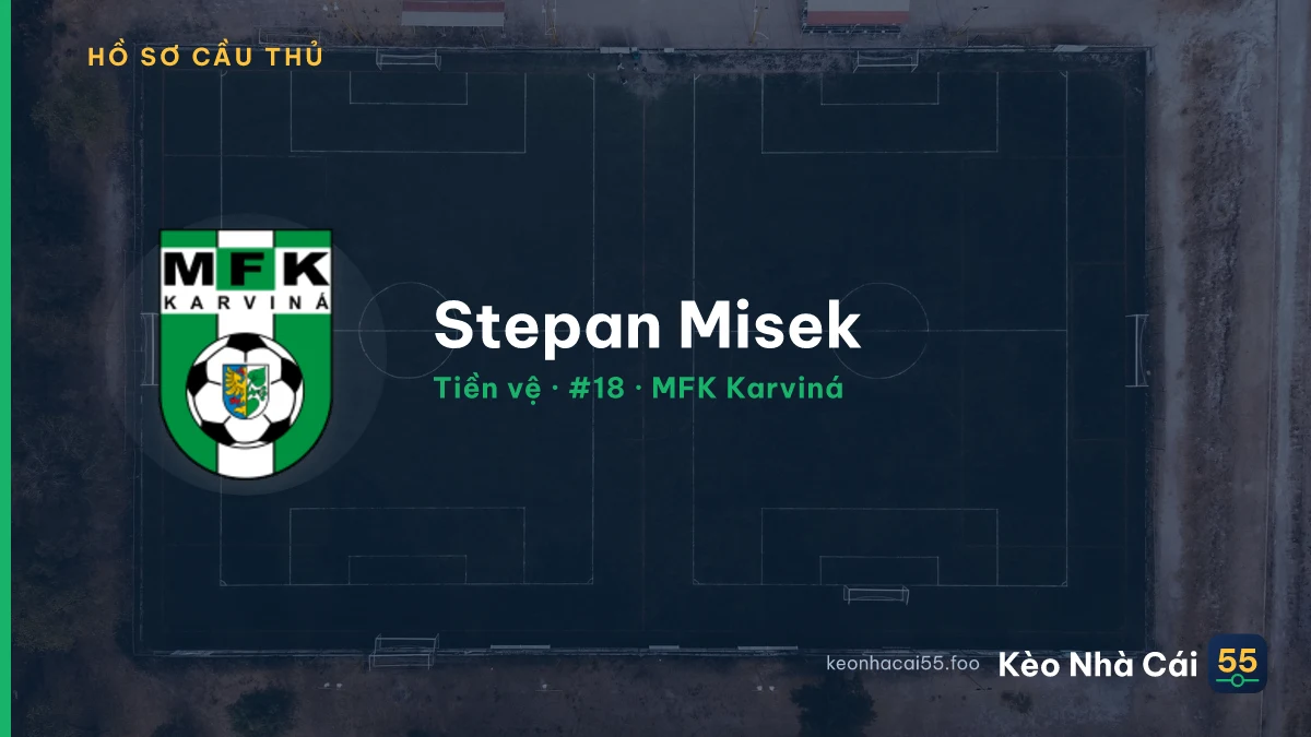 Stepan Misek — MFK Karviná