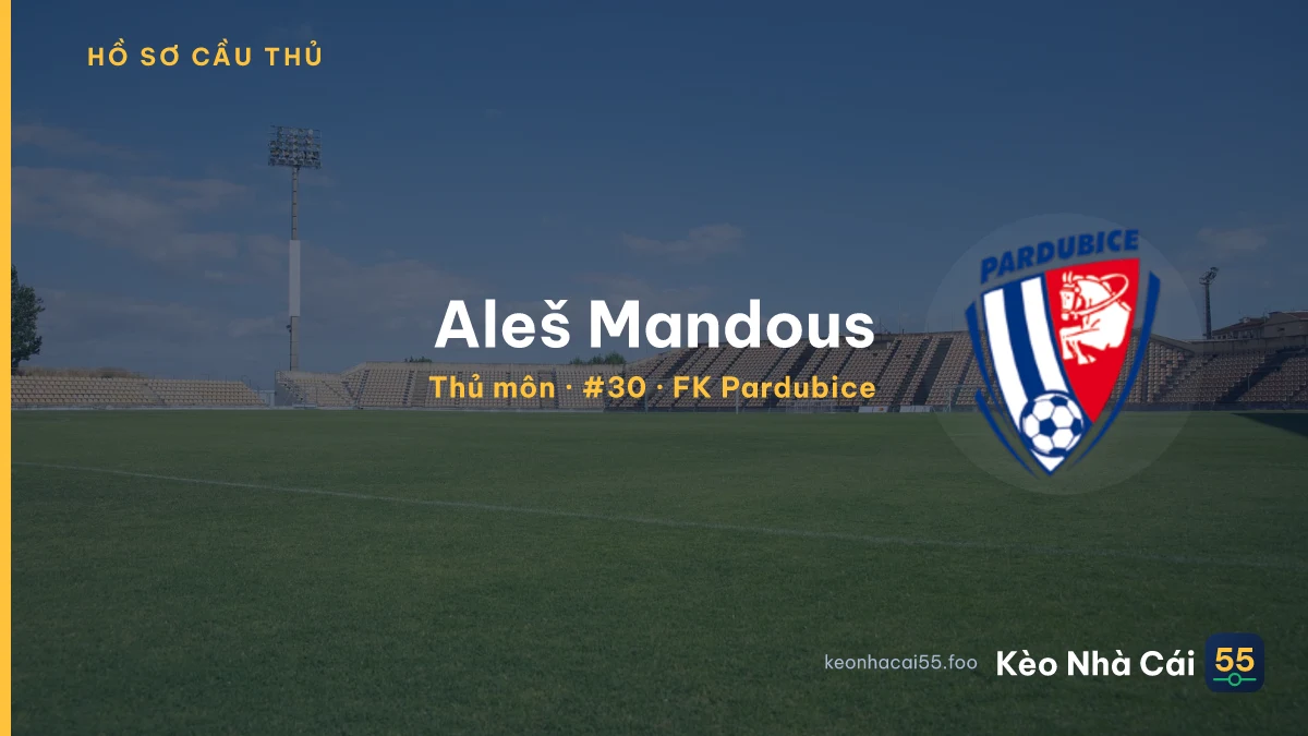 Aleš Mandous — FK Pardubice