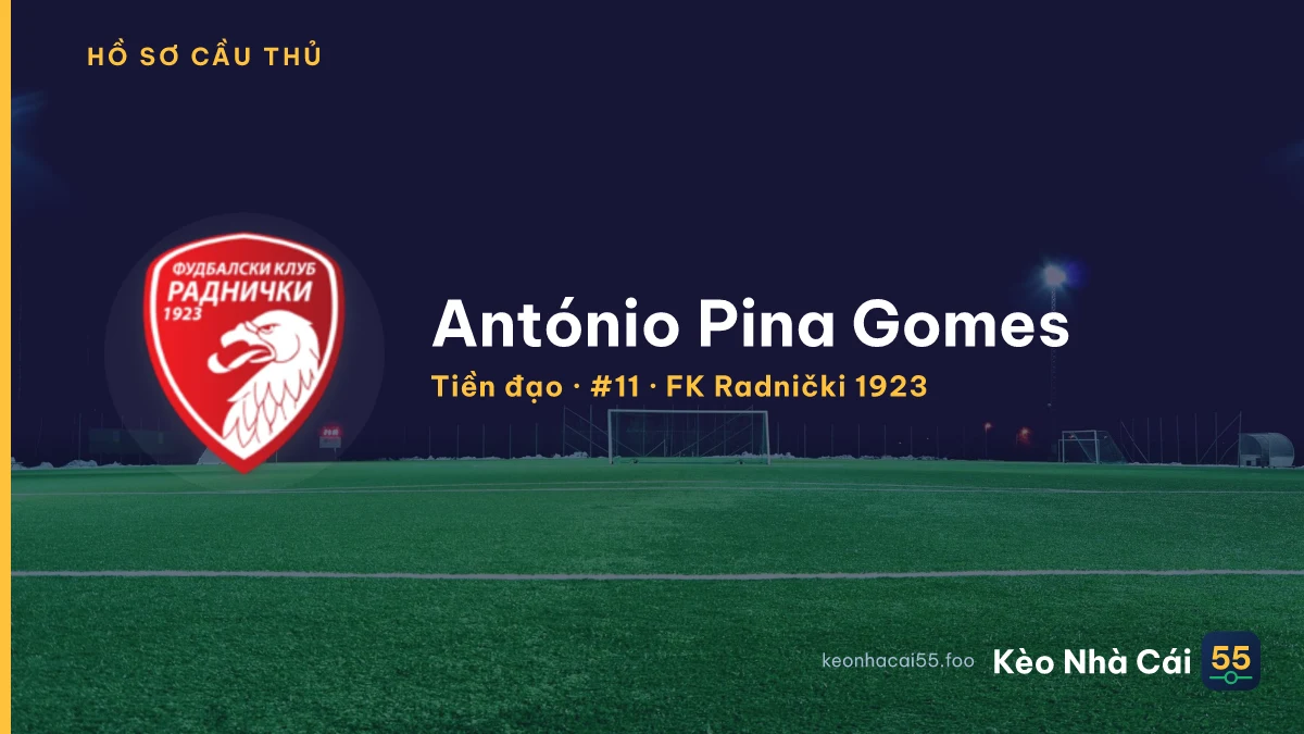 António Pina Gomes — FK Radnički 1923