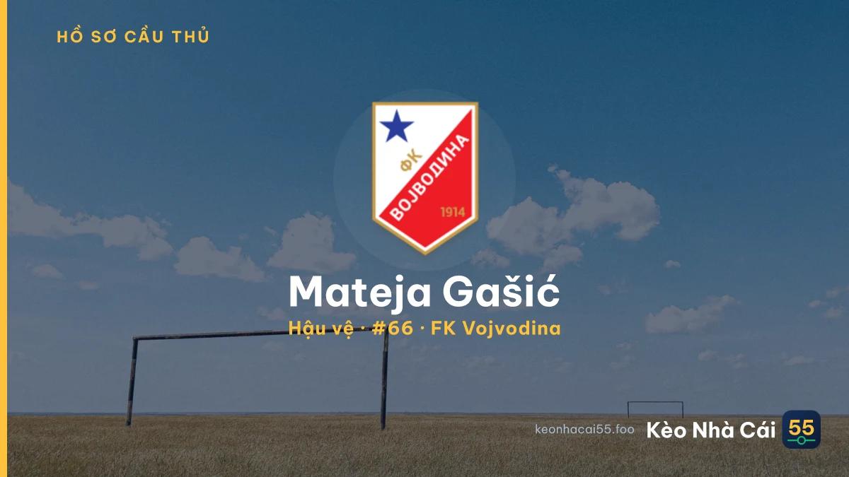Mateja Gašić — FK Vojvodina