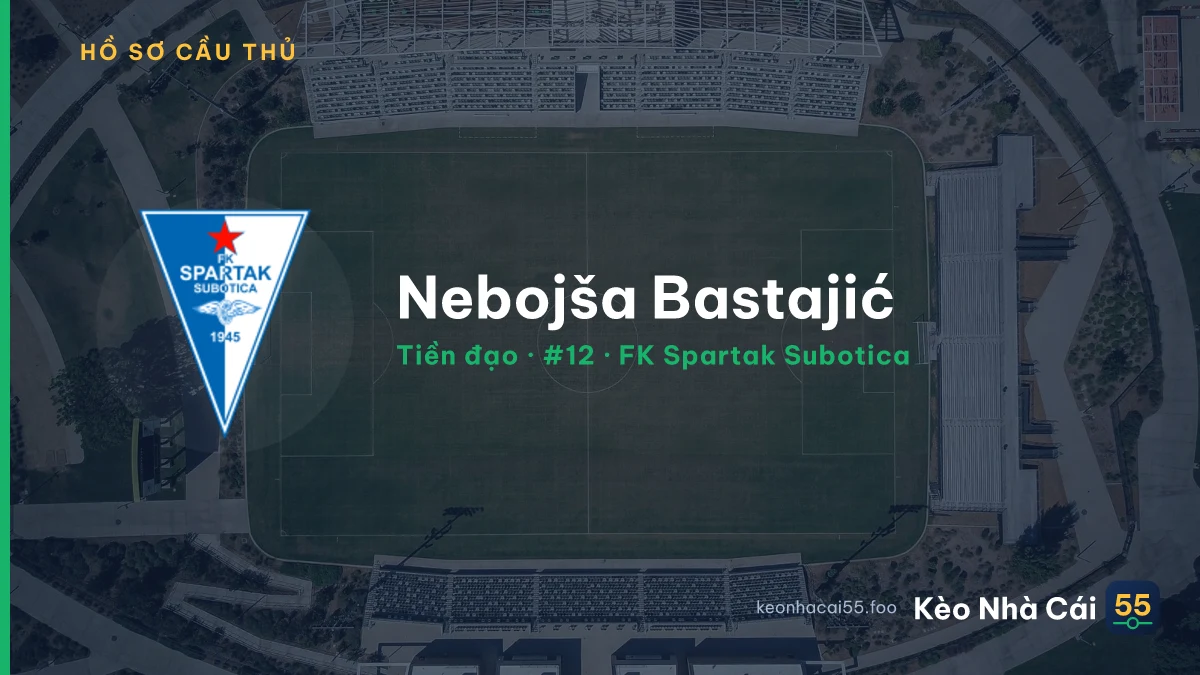 Nebojša Bastajić — FK Spartak Subotica