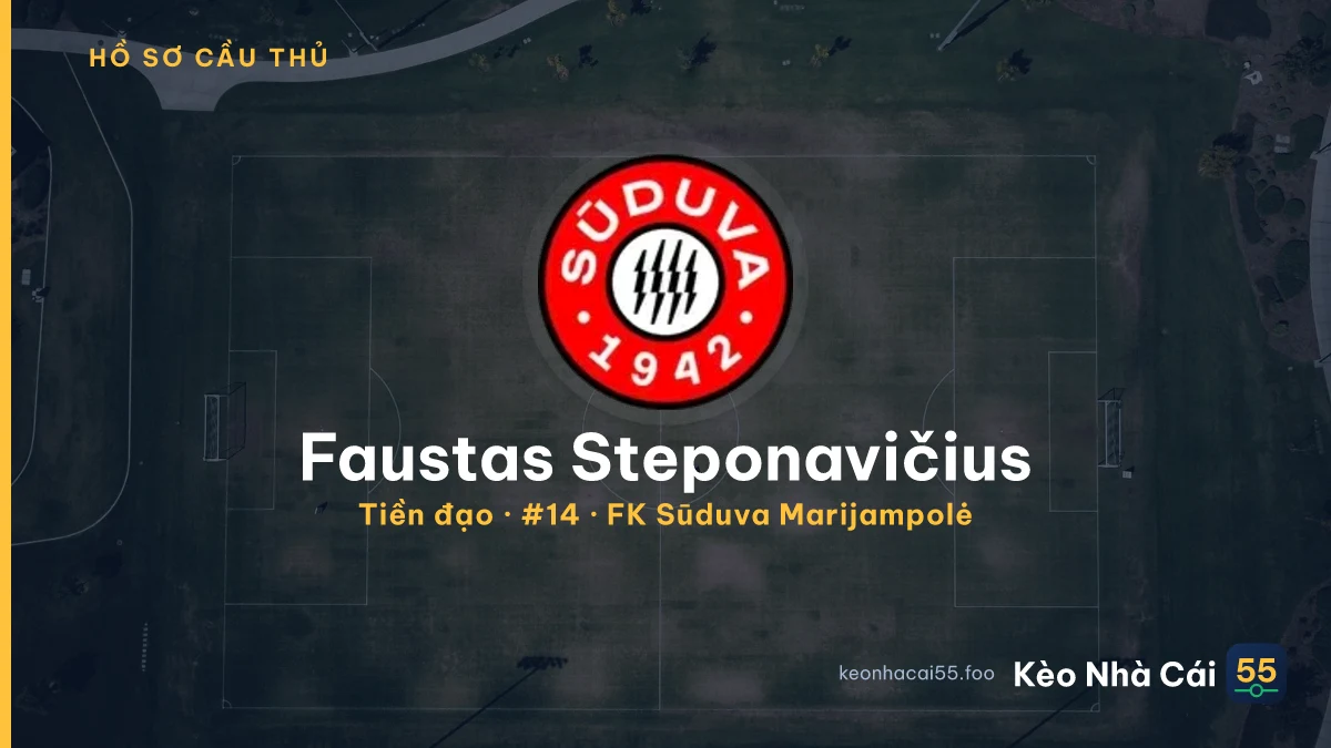 Faustas Steponavičius — FK Sūduva Marijampolė
