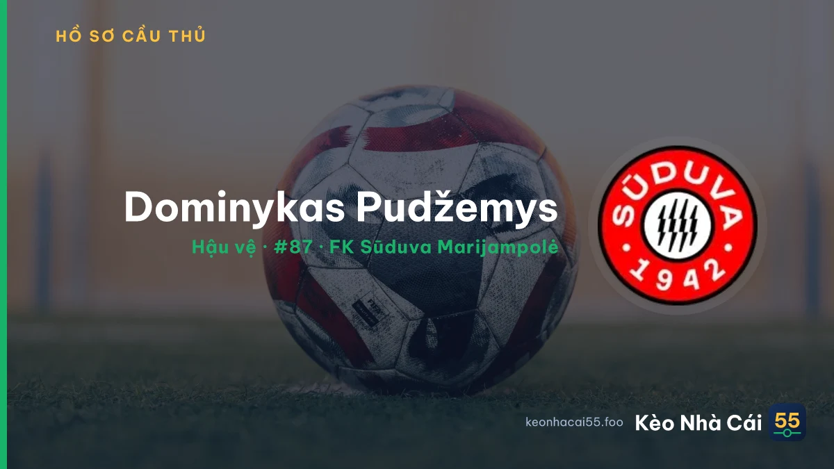 Dominykas Pudžemys — FK Sūduva Marijampolė