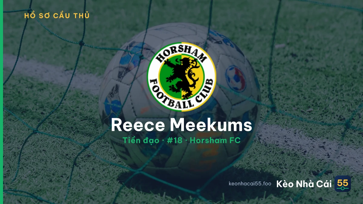Reece Meekums — Horsham FC