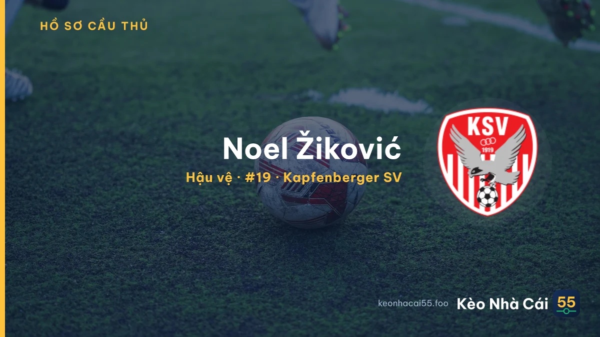 Noel Žiković — Kapfenberger SV