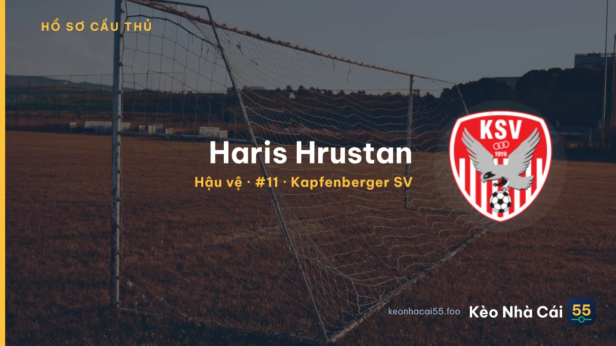 Haris Hrustan — Kapfenberger SV