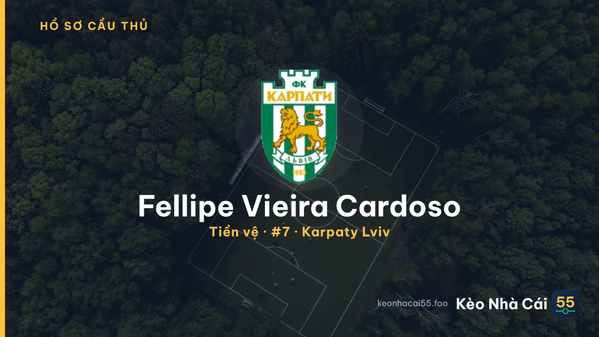 Fellipe Vieira Cardoso — Karpaty Lviv