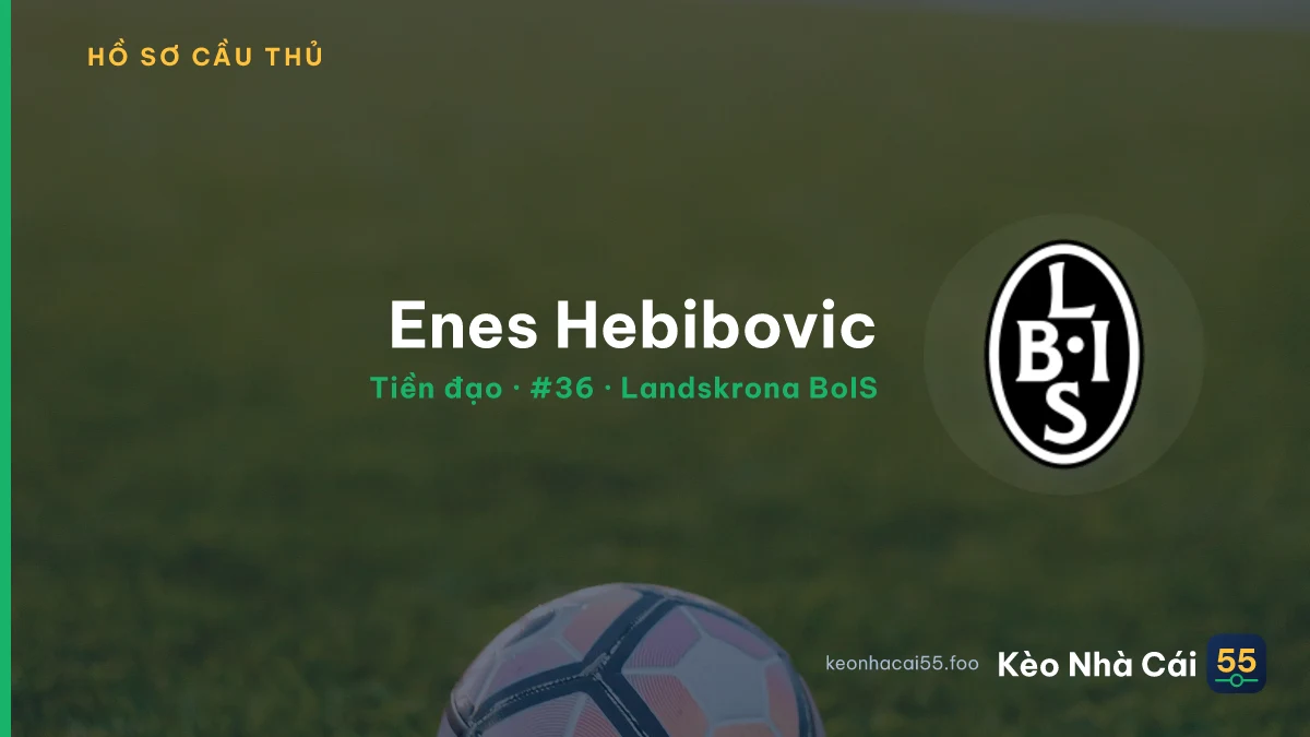Enes Hebibovic — Landskrona BoIS