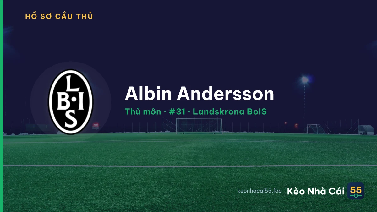 Albin Andersson — Landskrona BoIS