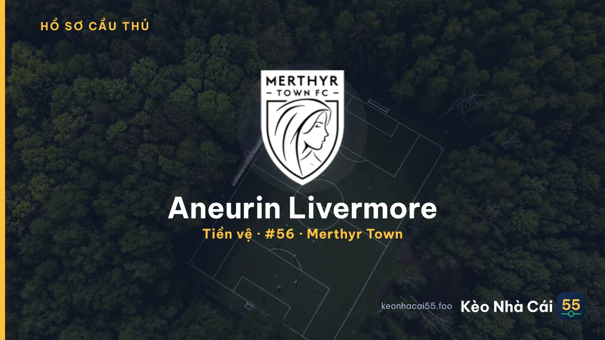 Aneurin Livermore — Merthyr Town