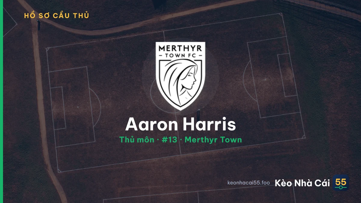 Aaron Harris — Merthyr Town