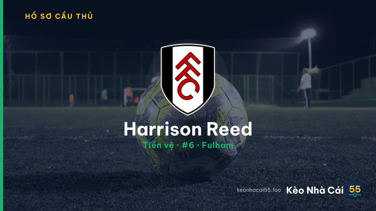 Harrison Reed — Fulham
