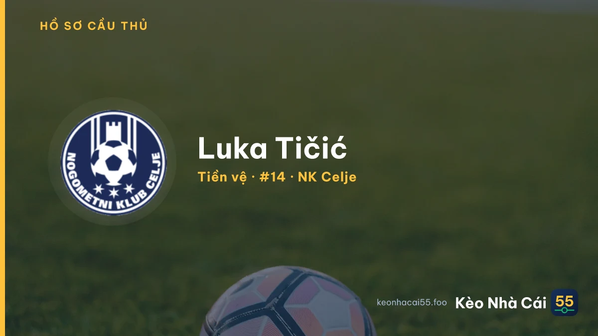 Luka Tičić — NK Celje