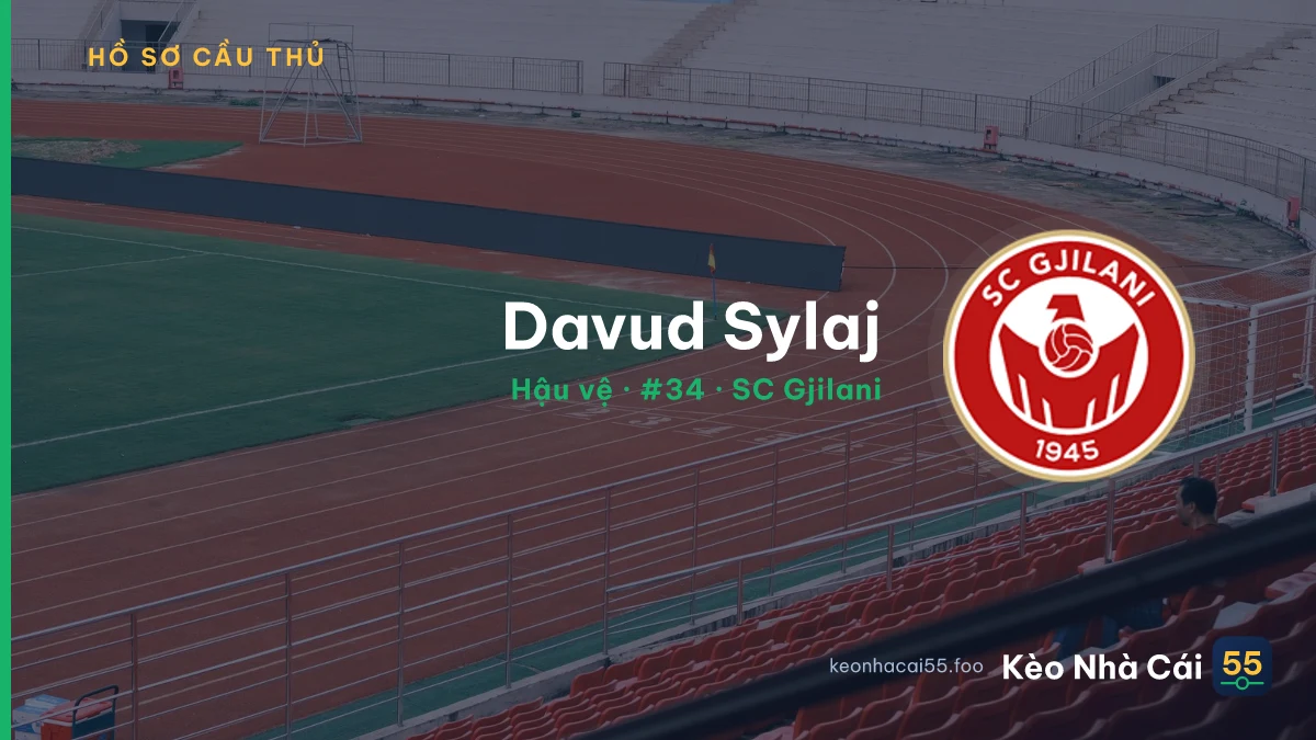 Davud Sylaj — SC Gjilani
