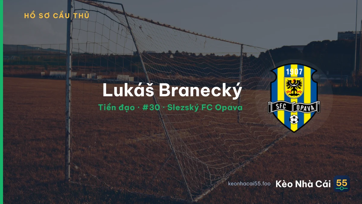 Lukáš Branecký — Slezský FC Opava