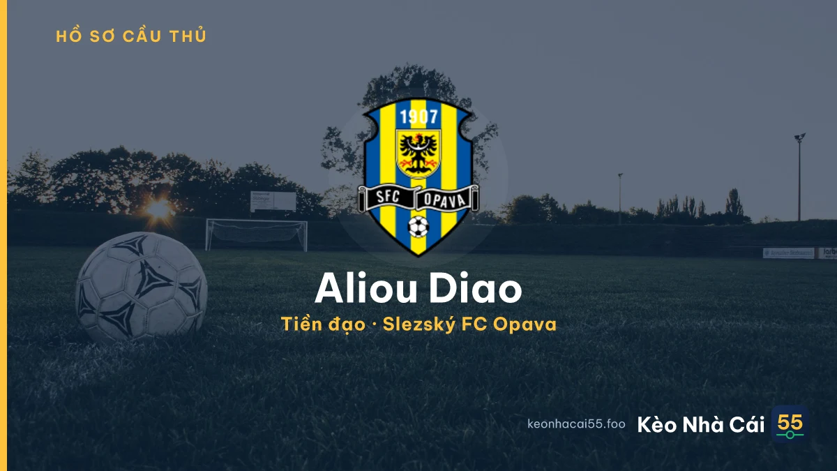 Aliou Diao — Slezský FC Opava