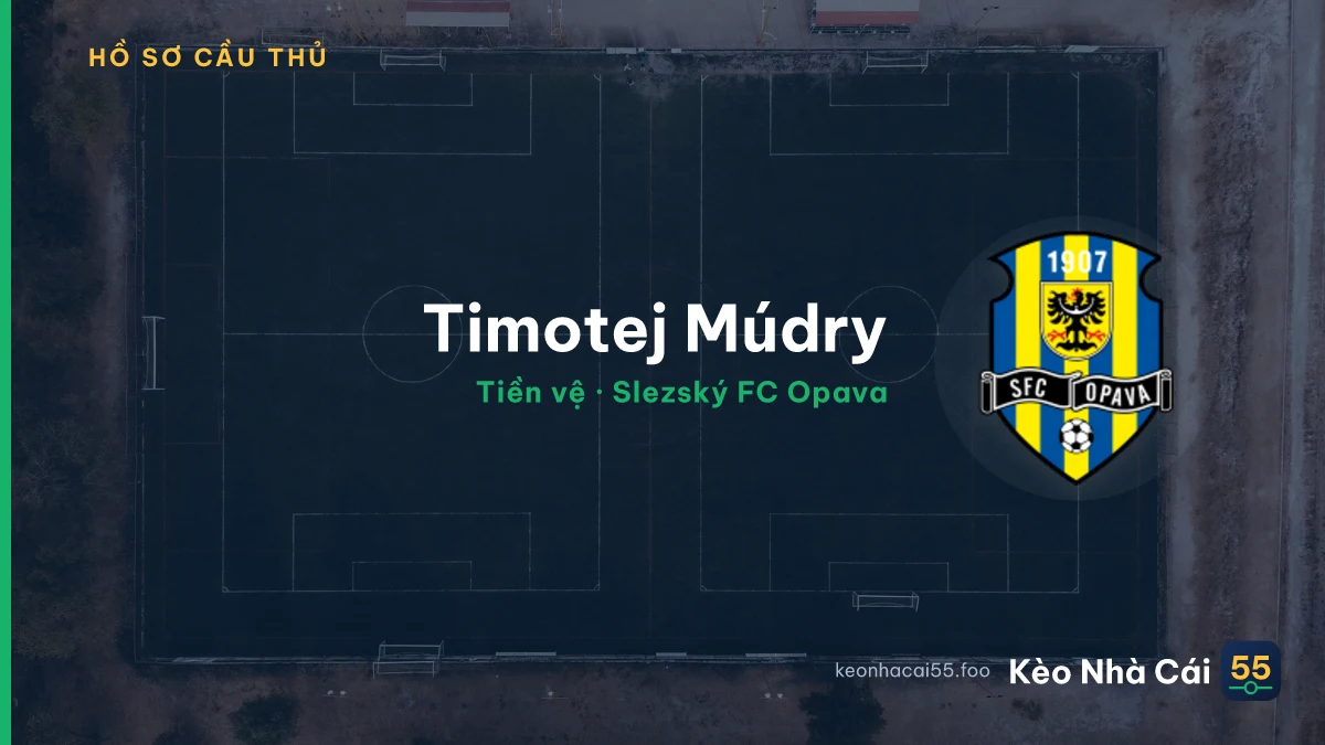 Timotej Múdry — Slezský FC Opava