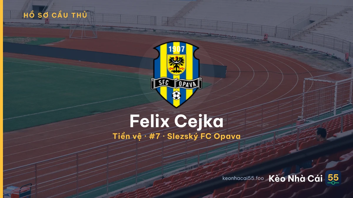Felix Cejka — Slezský FC Opava