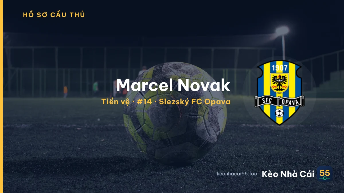 Marcel Novak — Slezský FC Opava