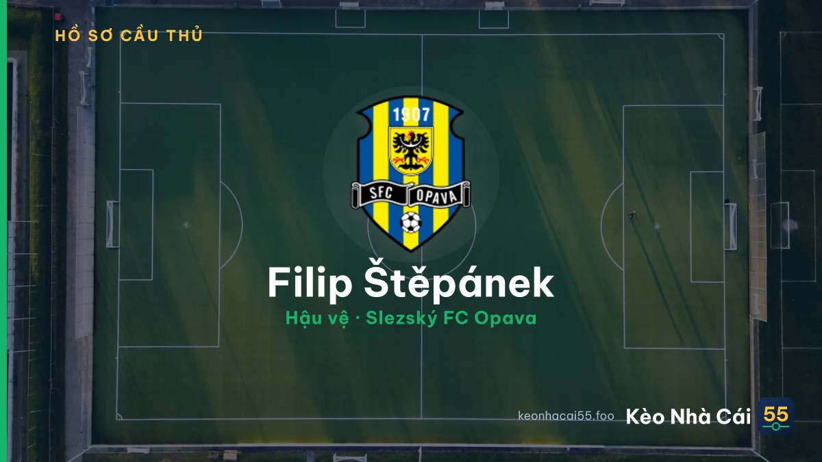 Filip Štěpánek — Slezský FC Opava