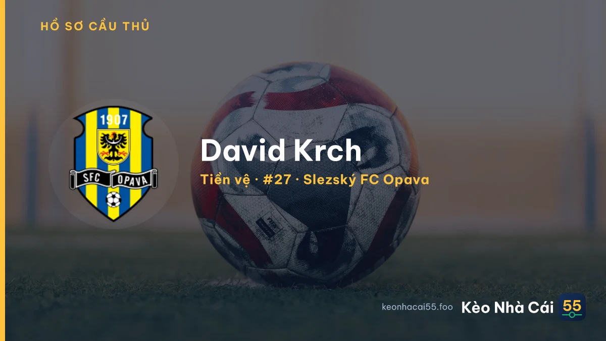 David Krch — Slezský FC Opava