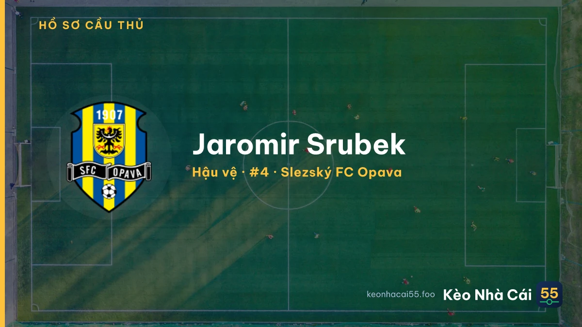 Jaromir Srubek — Slezský FC Opava