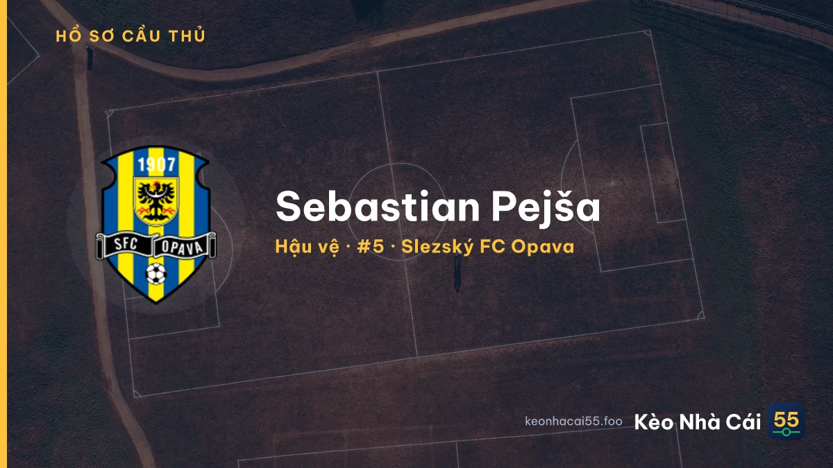 Sebastian Pejša — Slezský FC Opava
