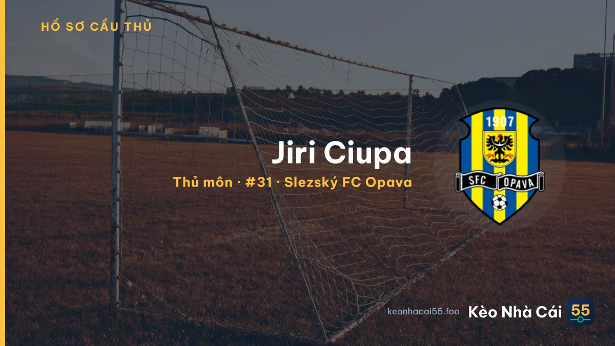 Jiri Ciupa — Slezský FC Opava